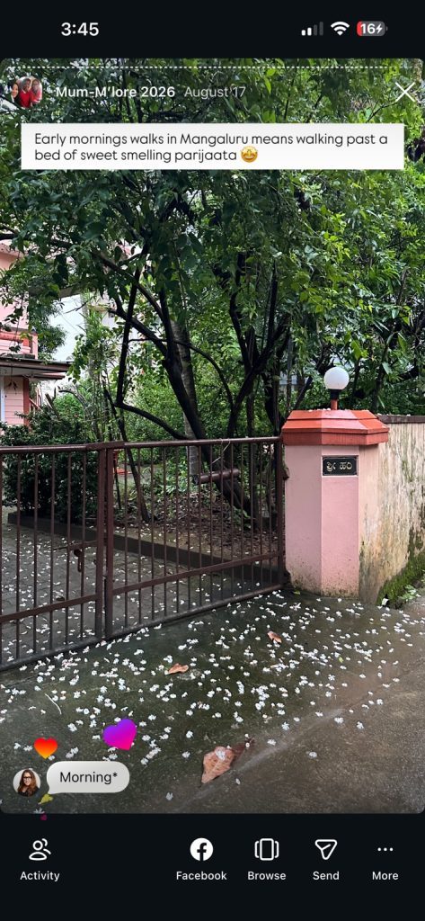 White parijata flowers scattered on the pavement outside a leafy garden gate in Mangaluru.