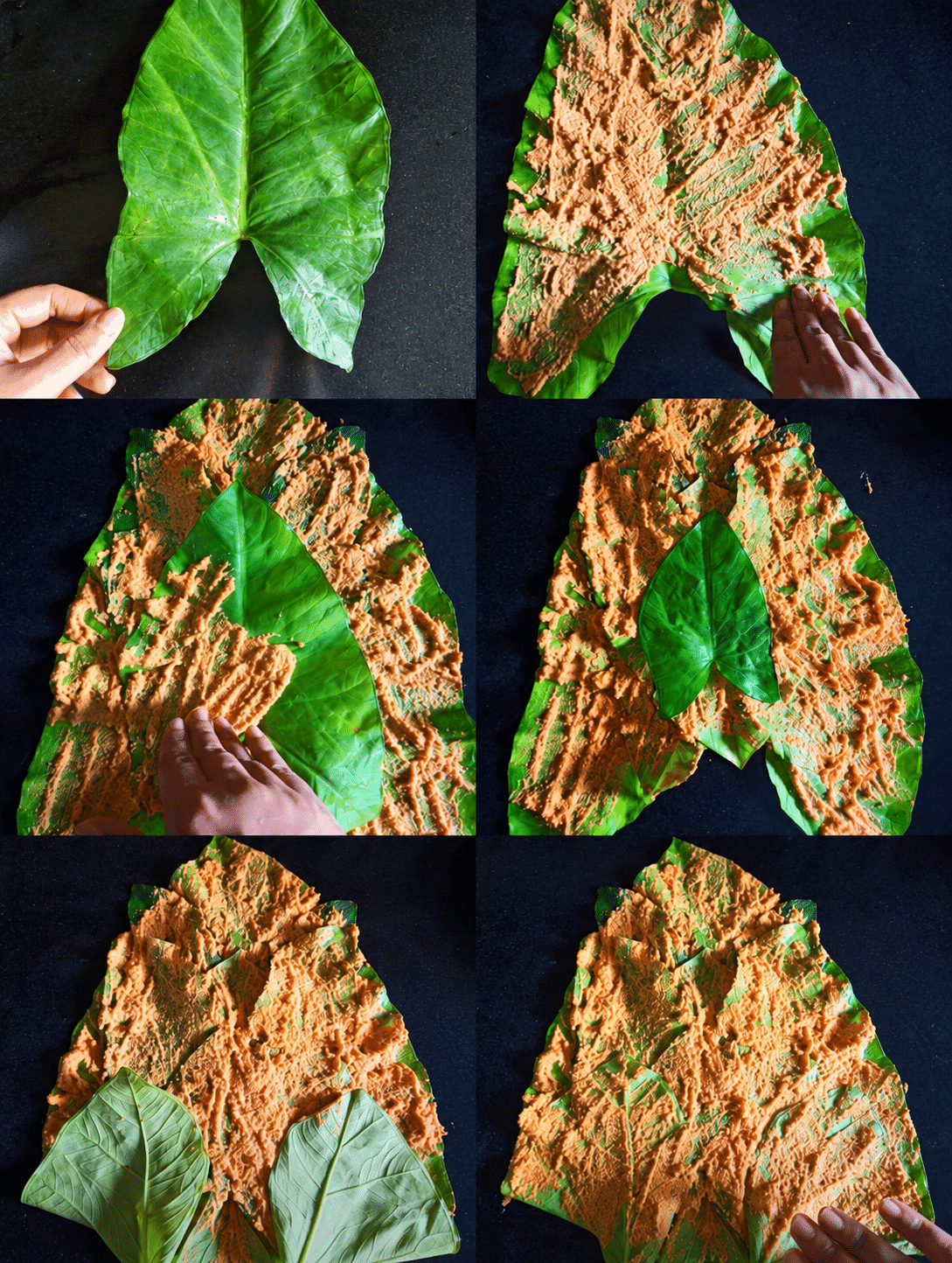Colocasia leaves layered with Pathrode paste